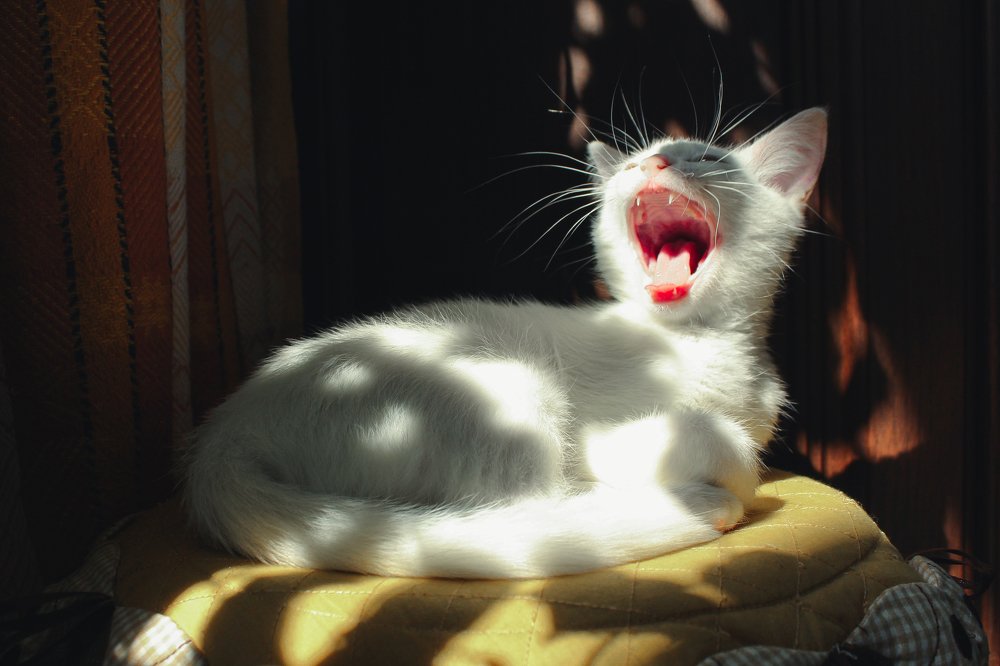 Photograph by Ольга Савостина