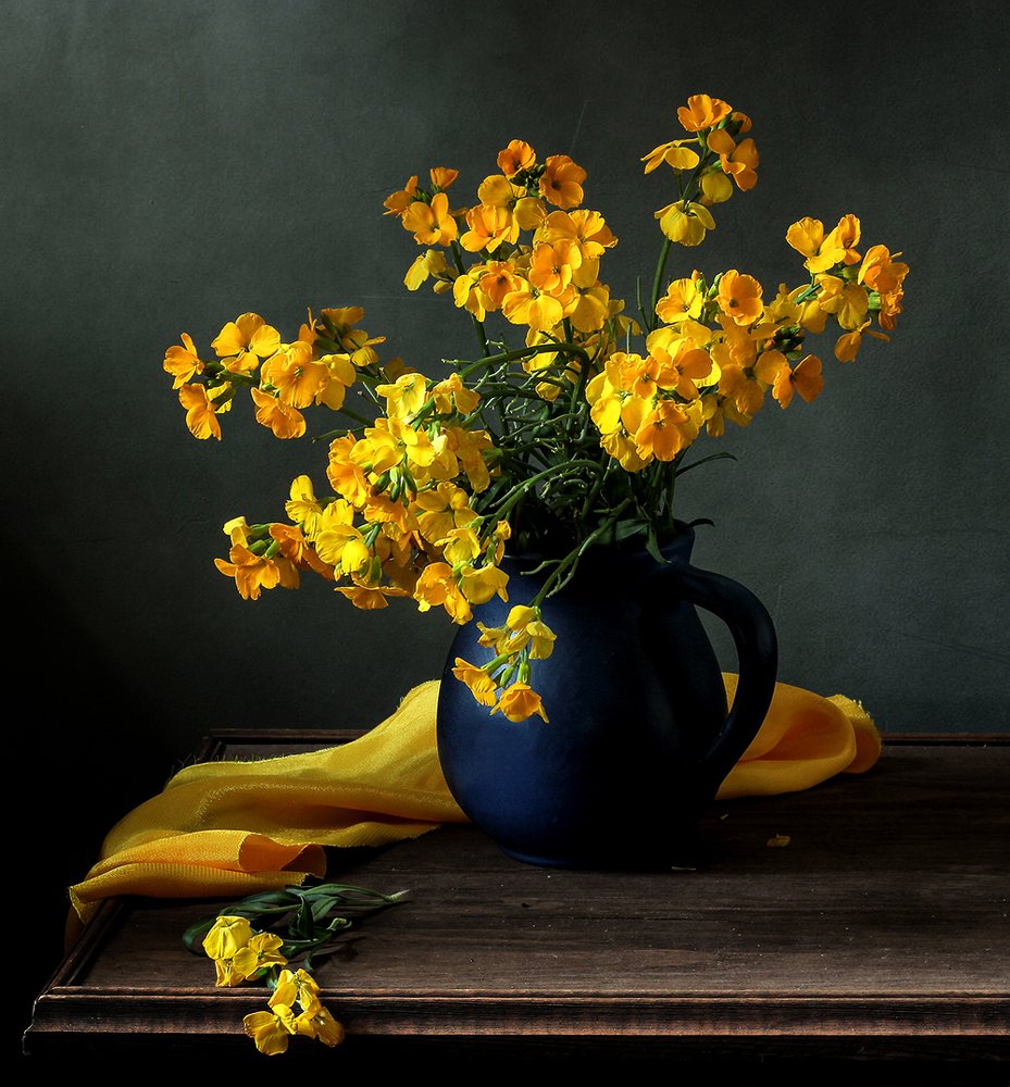 Золотая лакфиоль