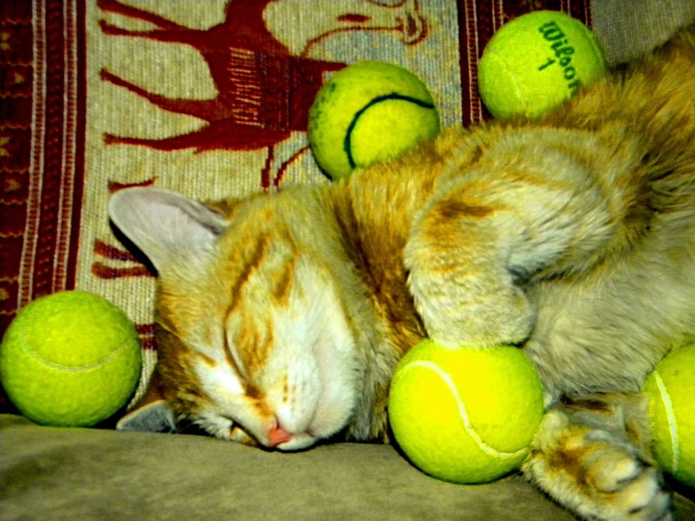 This is what passive sport means.