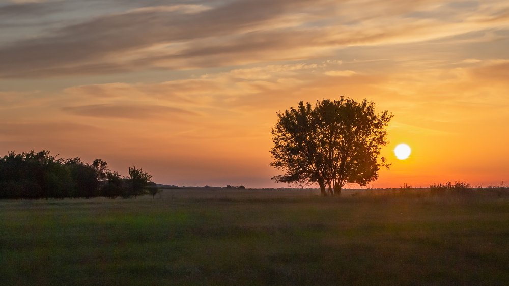 Photograph by Александр Малышев