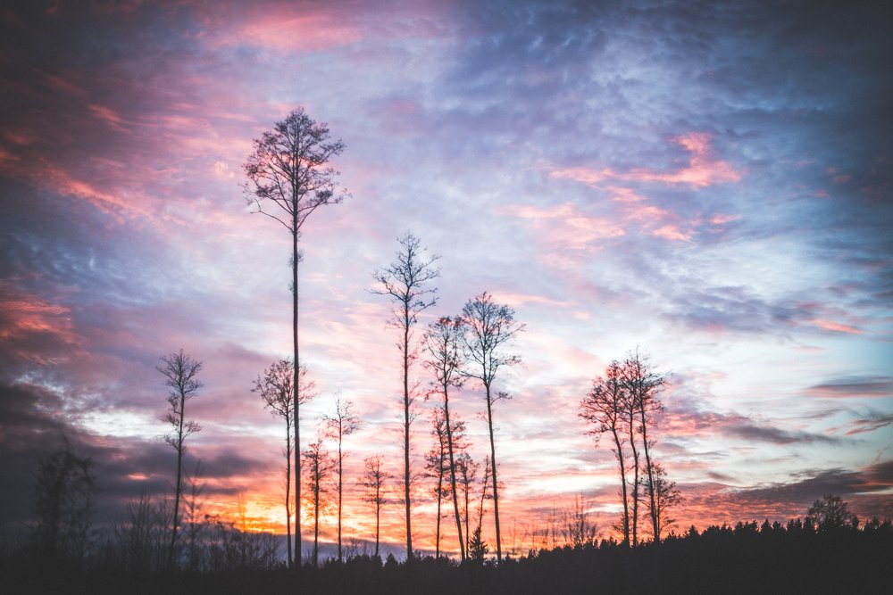 Sunset in Druskininkai