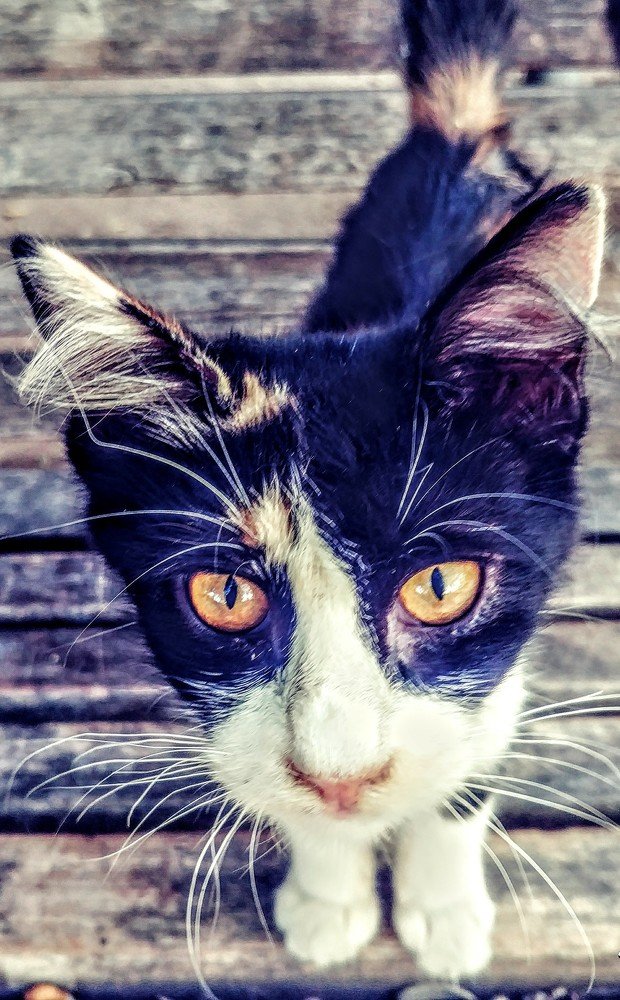 Photograph by Inga Vasilyeva