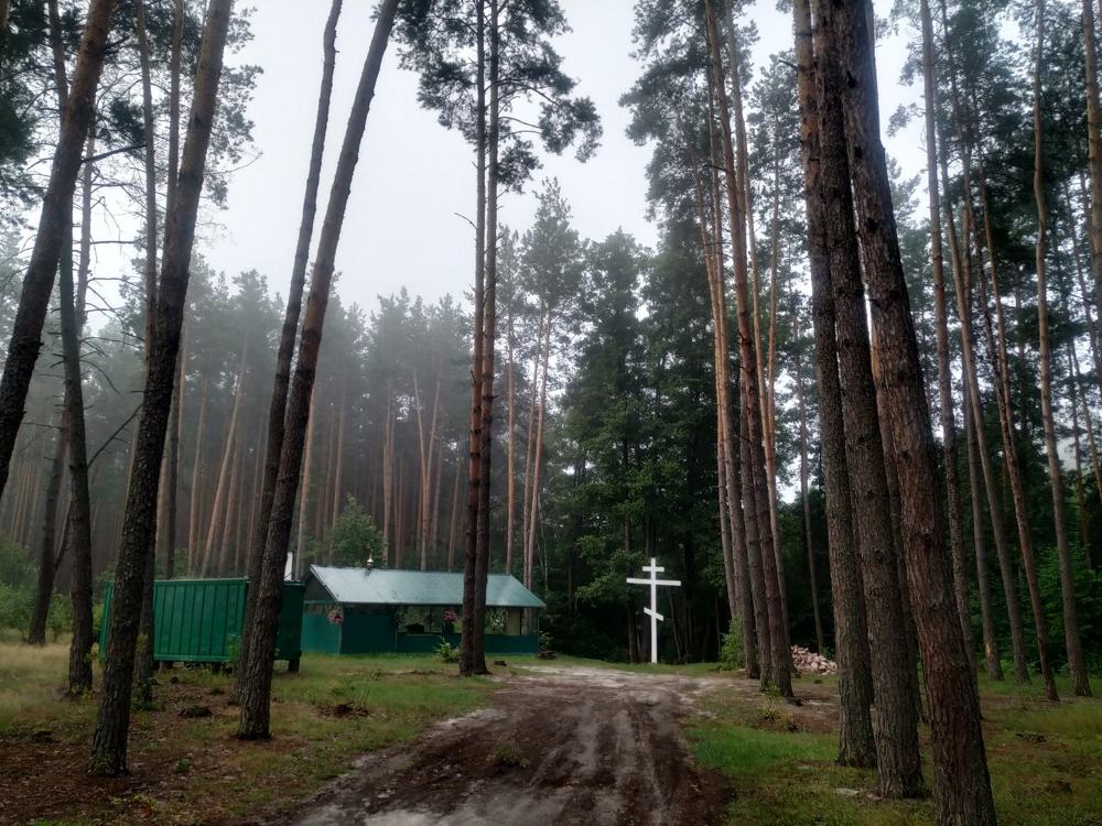 Тишина