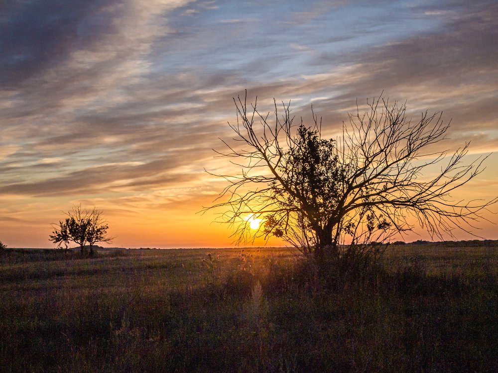 Photograph by Александр Малышев