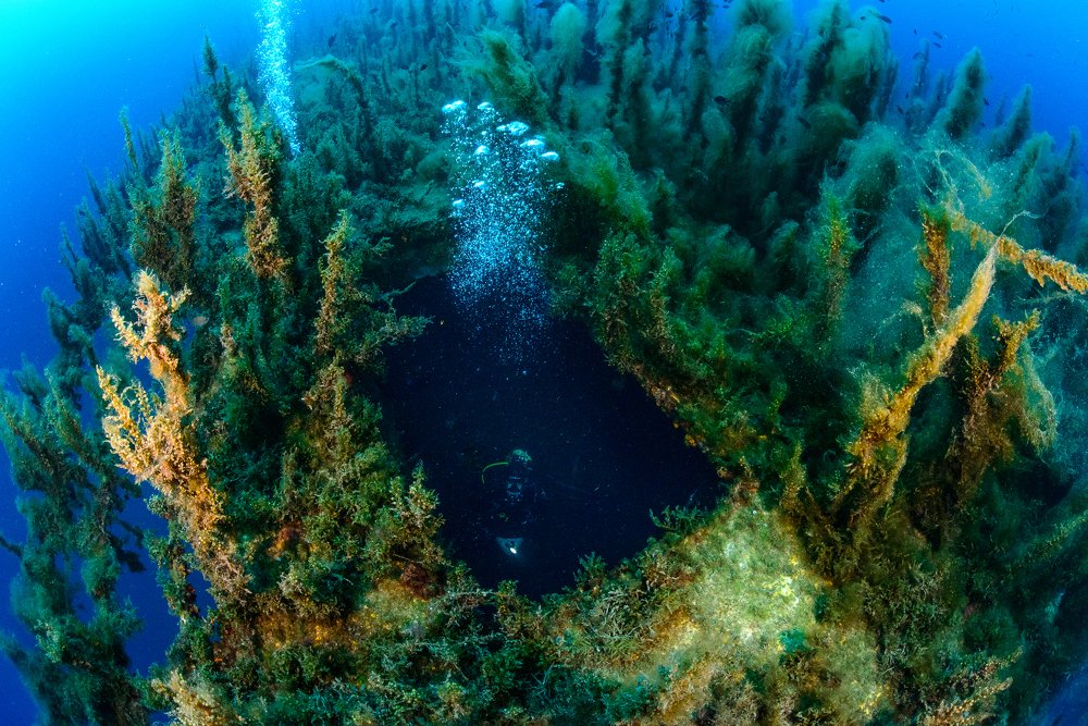 Inside Don Pedro wreck guts