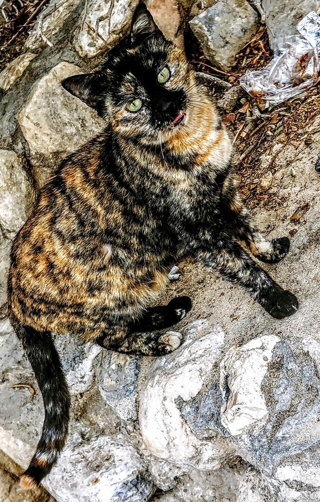 Photograph by Inga Vasilyeva