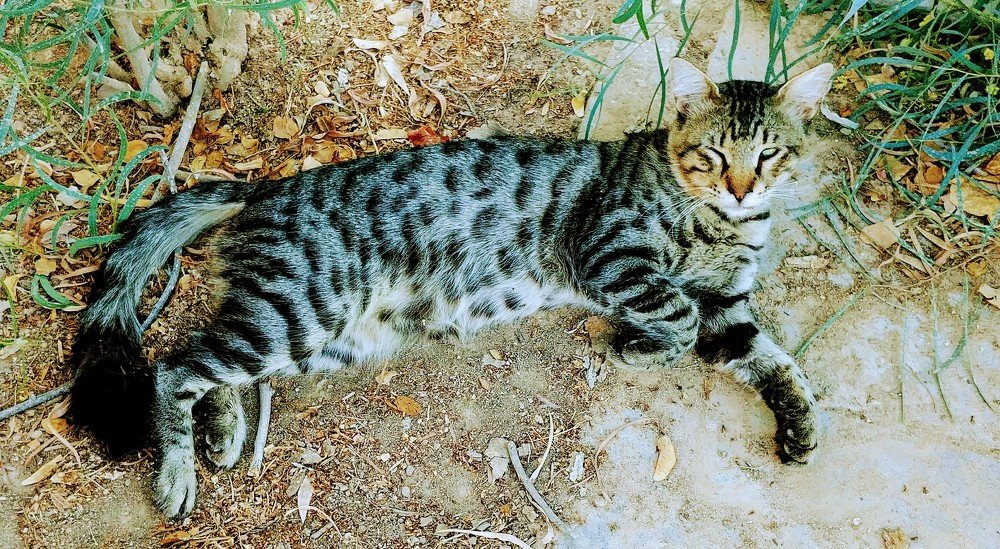 Photograph by Inga Vasilyeva