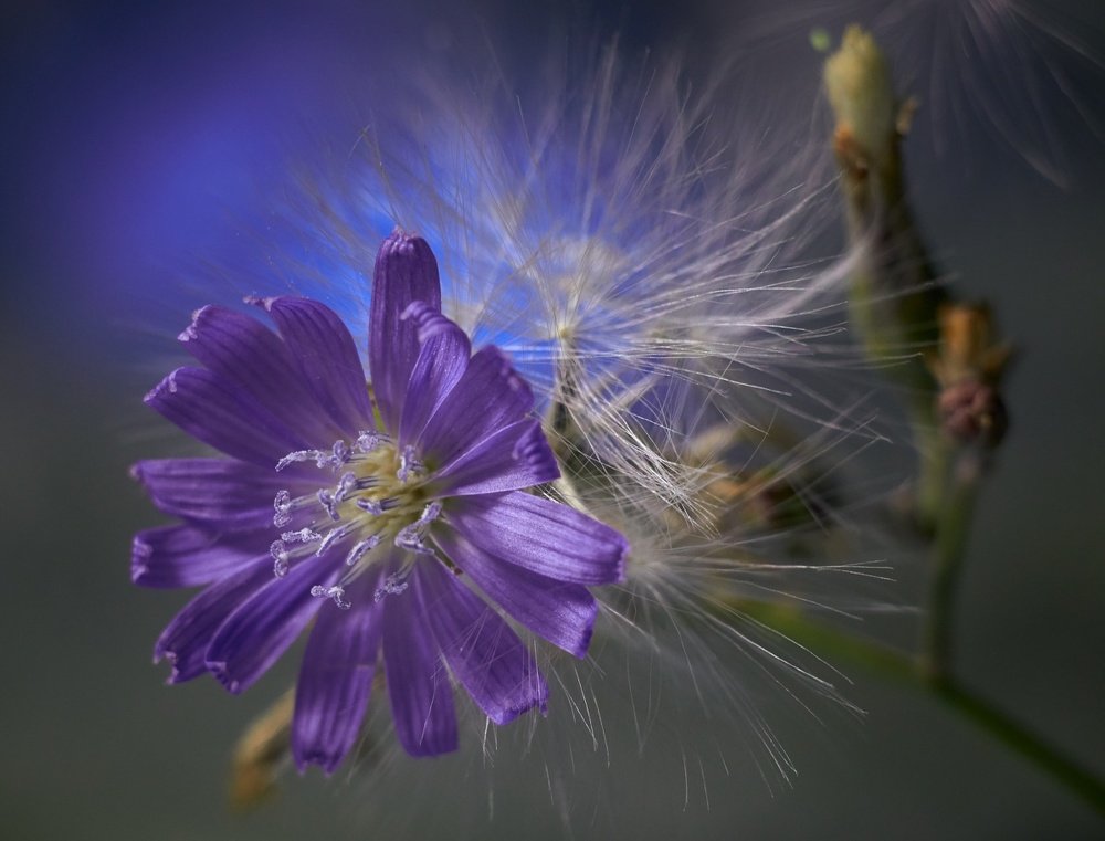 Photograph by Евгений Лобойко