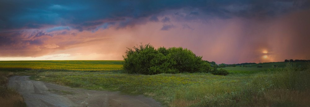 Photograph by Карпова Валентина