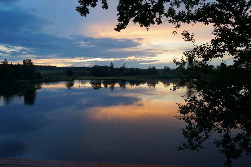 Фотография автора Ирина Зайцева