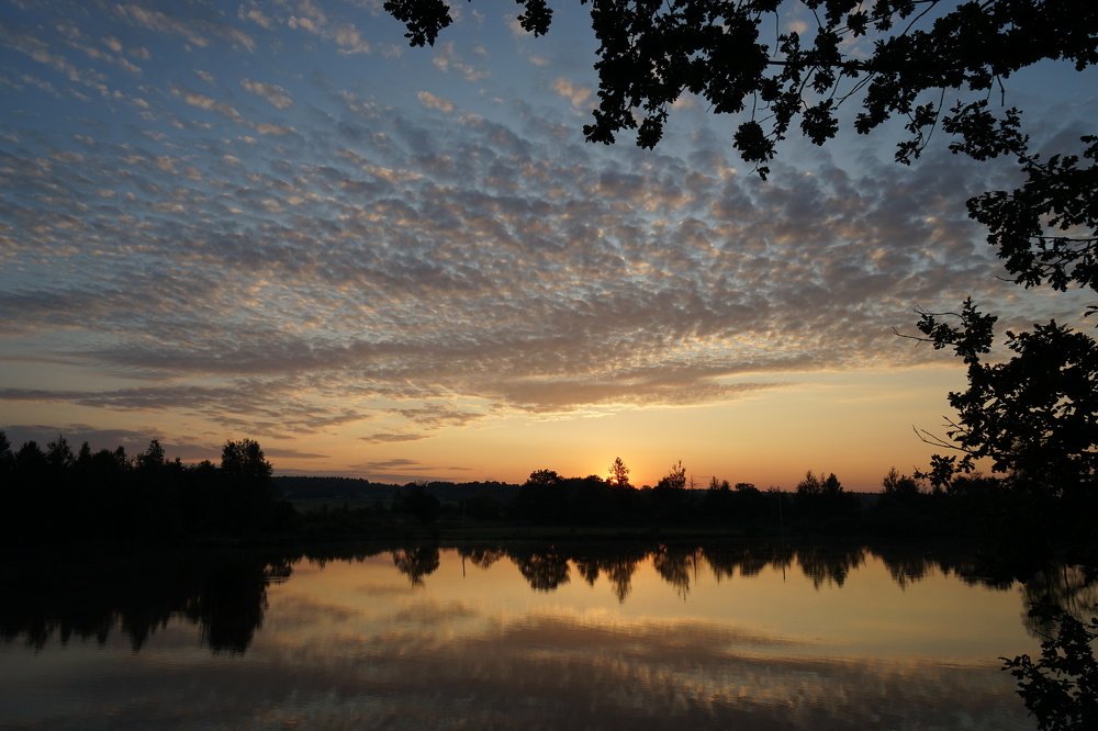 Фотография автора Ирина Зайцева