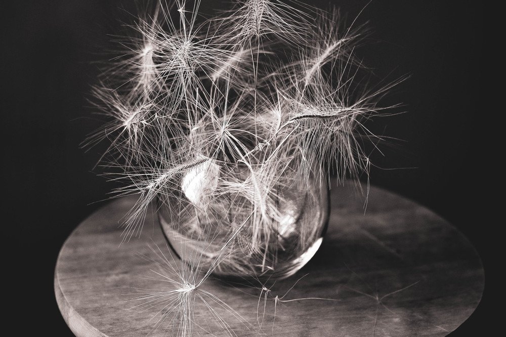 Photograph by Елена Боржковская