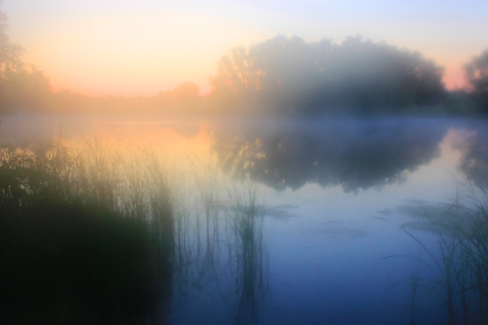 Туманное утро июля