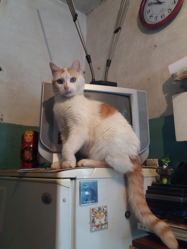 "Новое место"