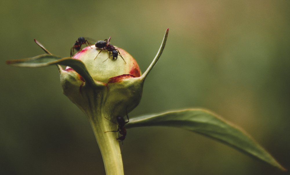Photograph by Никита Сластен