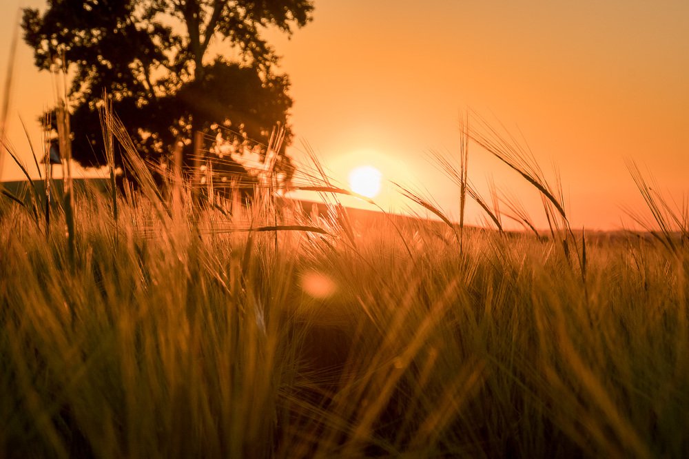 Золотой час