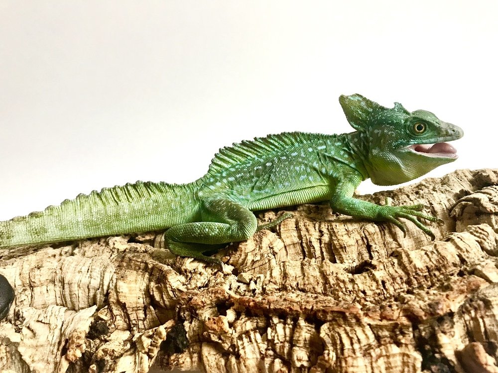 Пьер-Люцифер