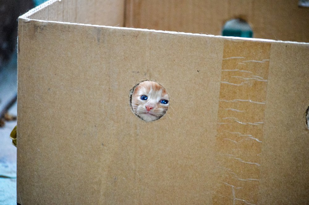 Чё смотрим?