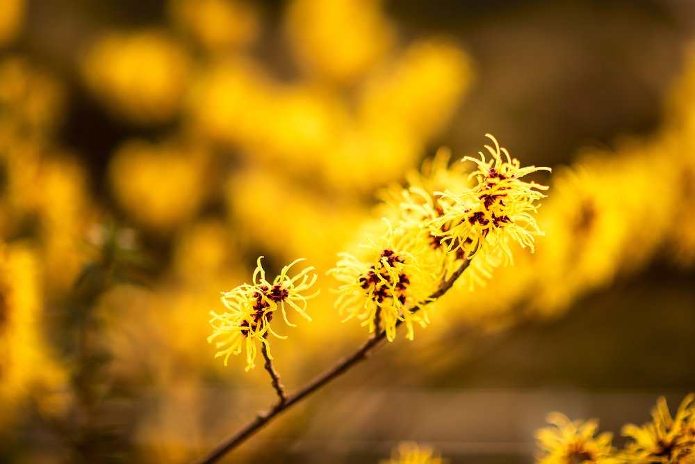 Photograph by Юлия Борт