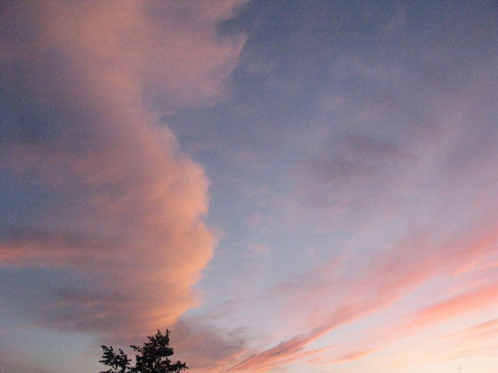 Розовое на голубом