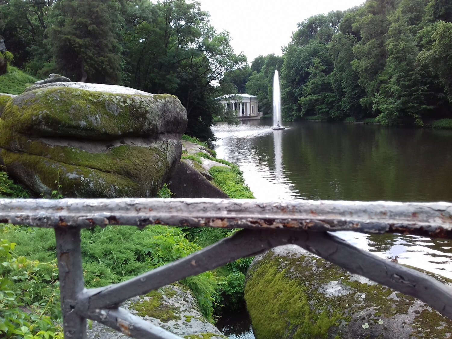 Photo #3436390
