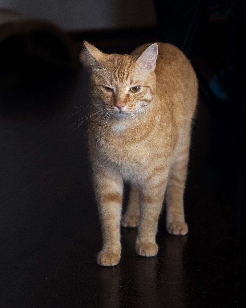 Photograph by Артур Газиев