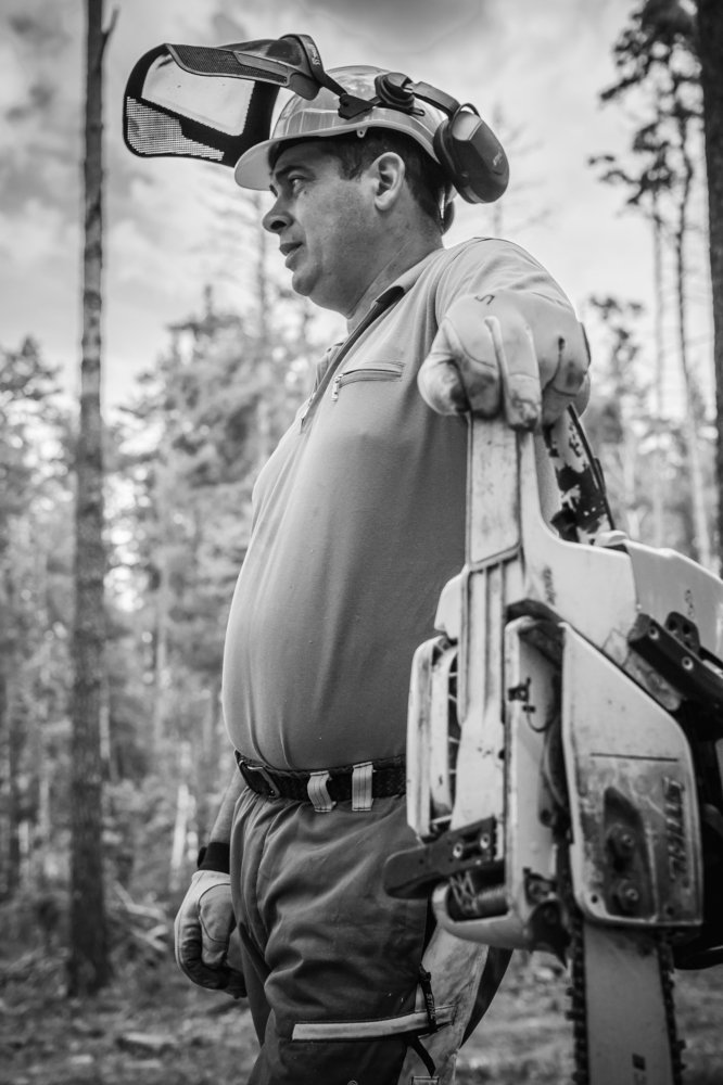 Photograph by Sergey Merkulov