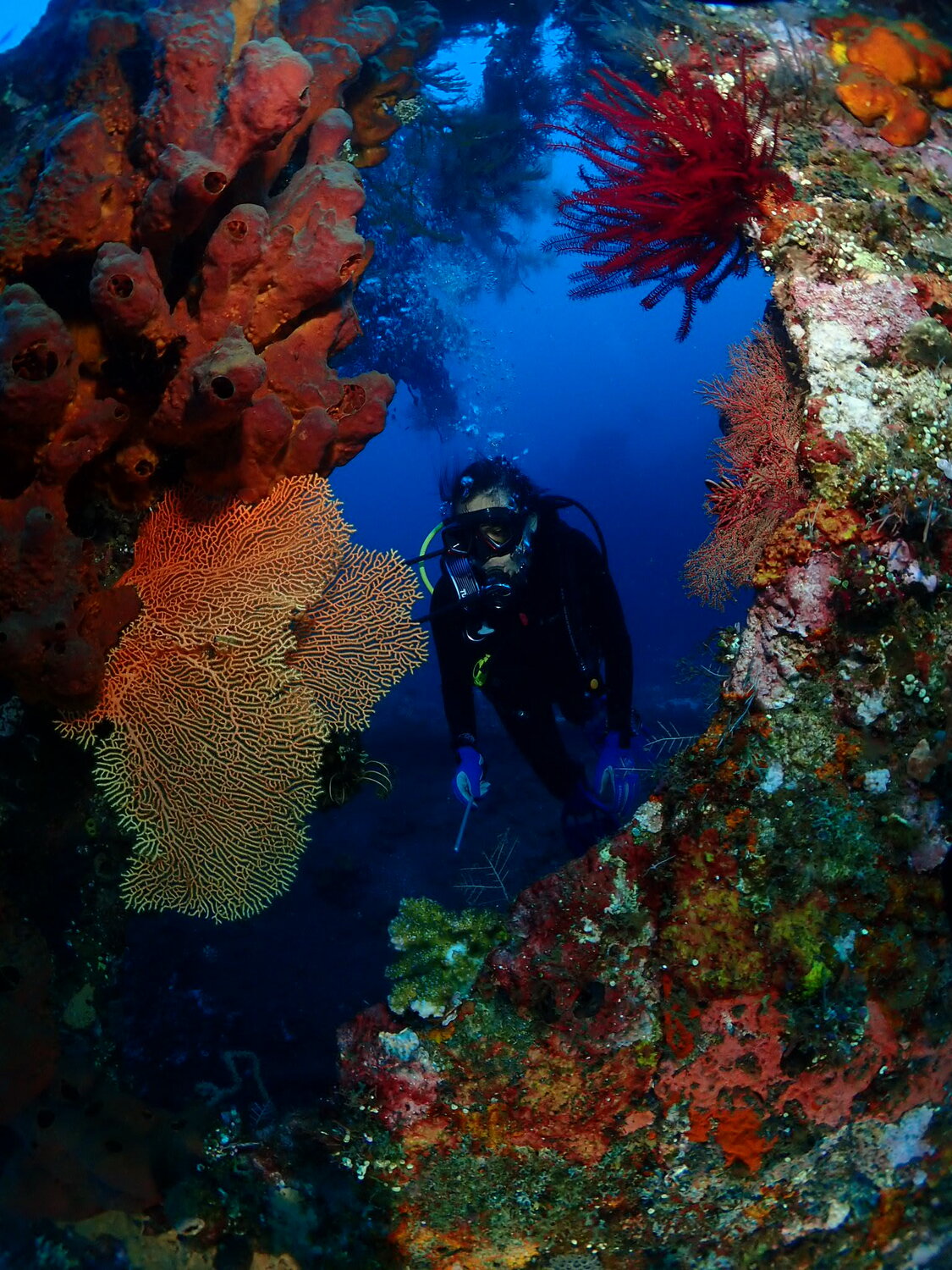 Tulamben wreck