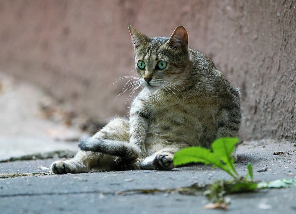 Photograph by Олег Милеев (Каминцев)