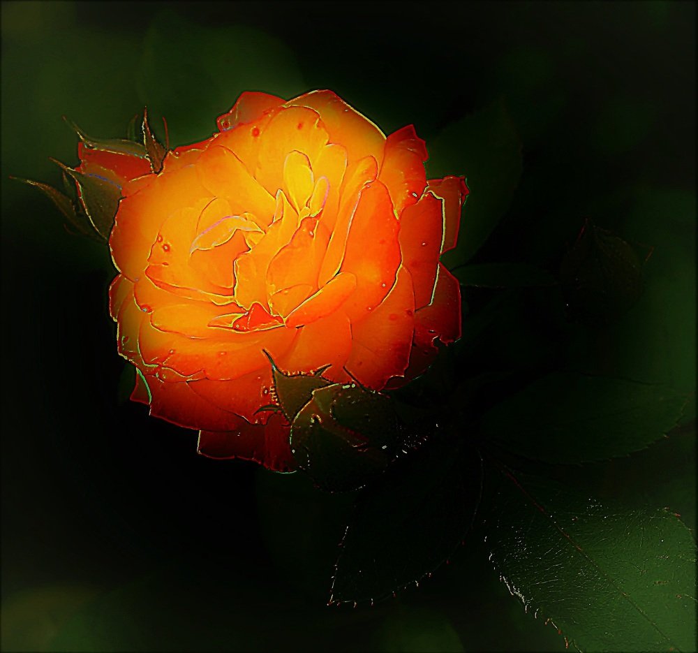 Photograph by Алия Байсыкова