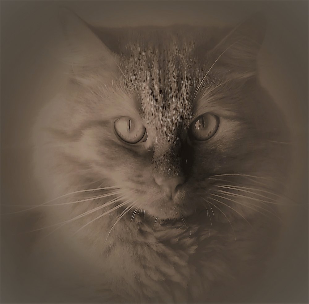 Photograph by Алия Байсыкова