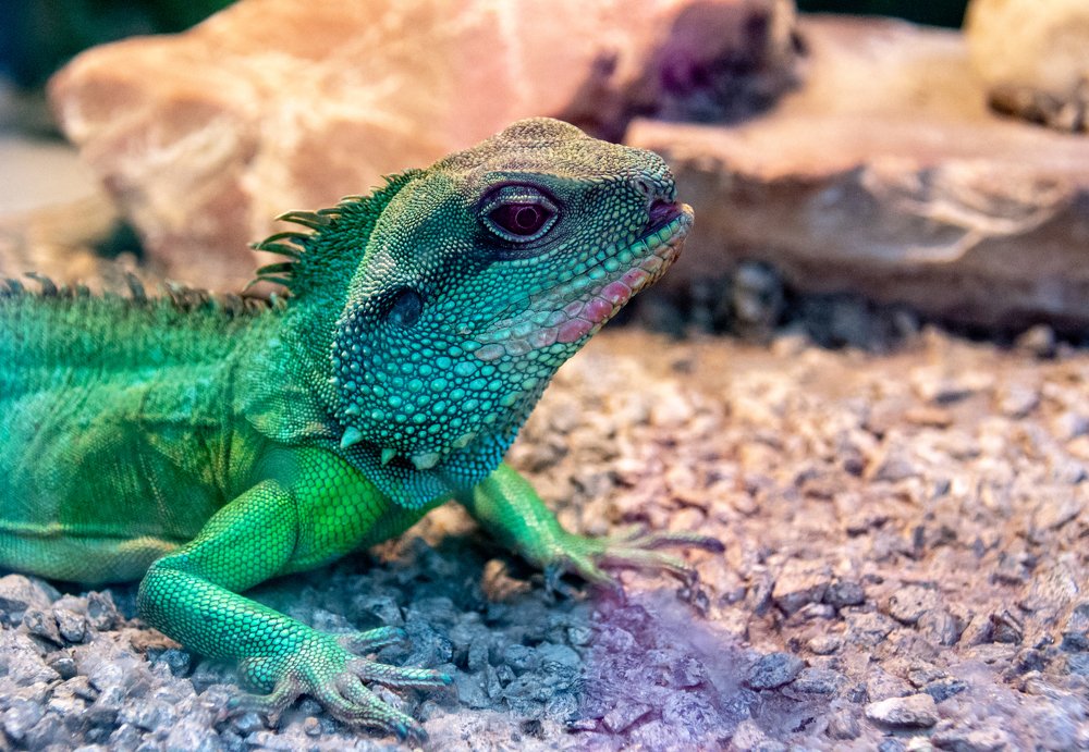 Photograph by Ксения Рыбка