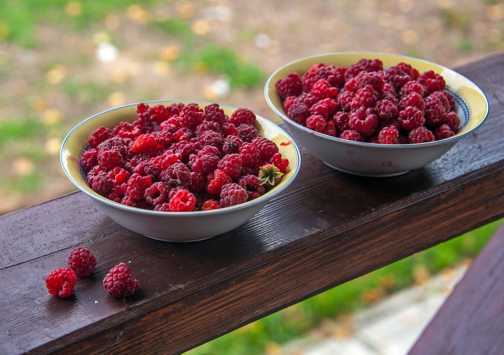 Raspberry crop