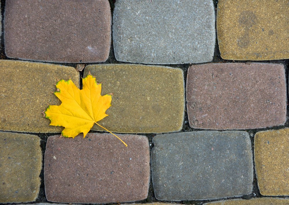 Photograph by Оксана