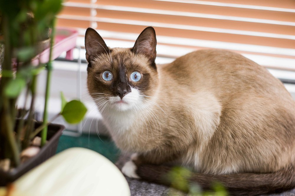 правда я красивый