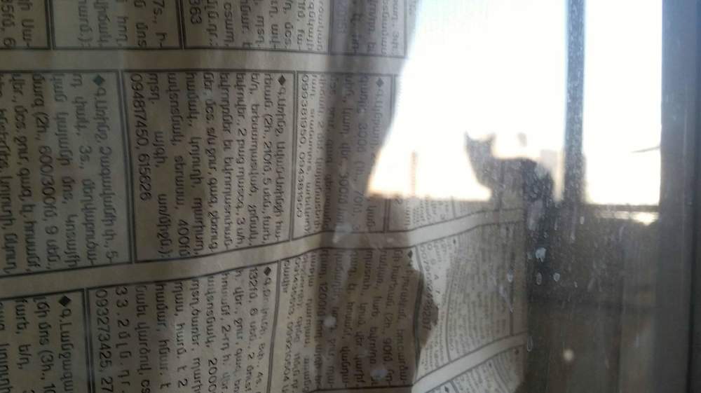 Photograph by Марина Рафаелян