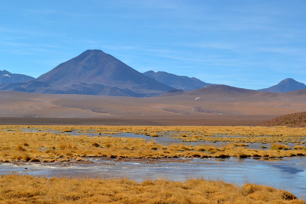 Photograph by Ксения Рыбка