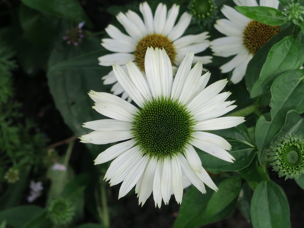 Photograph by Elena Nadeeva