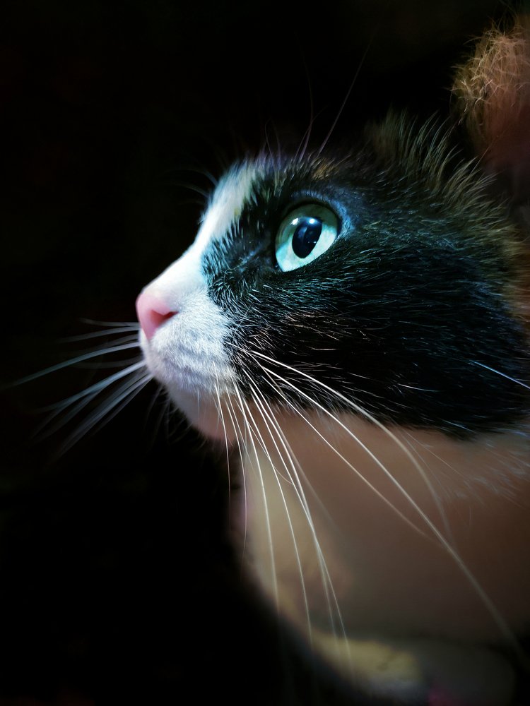 Магия взгляда