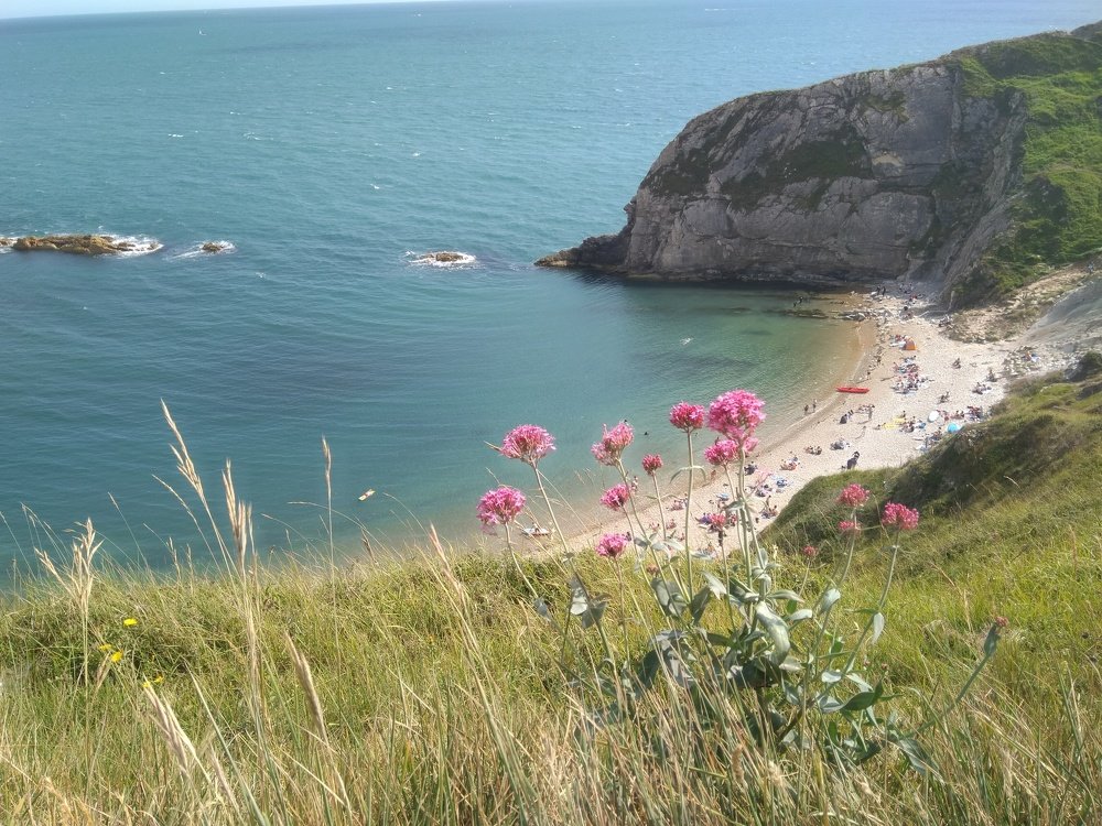 Beautiful Landscape