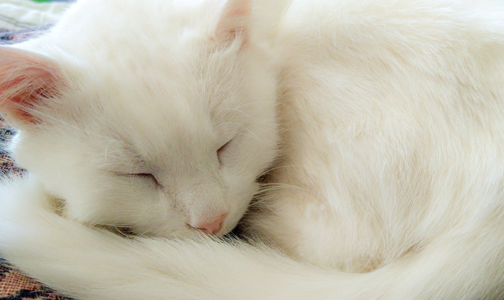 Photograph by Cергей Иванов