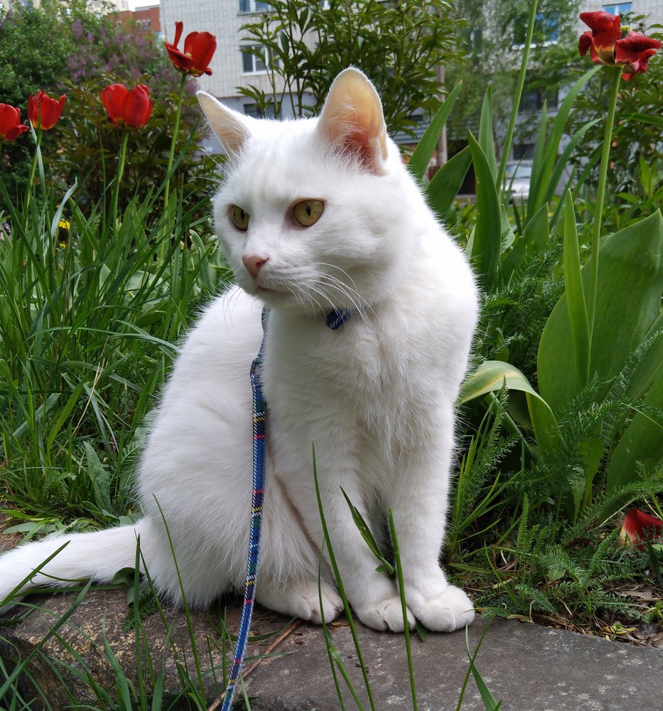 Photograph by Cергей Иванов