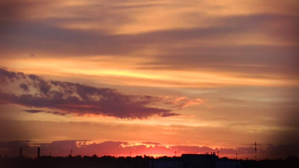 Розовый закат летом