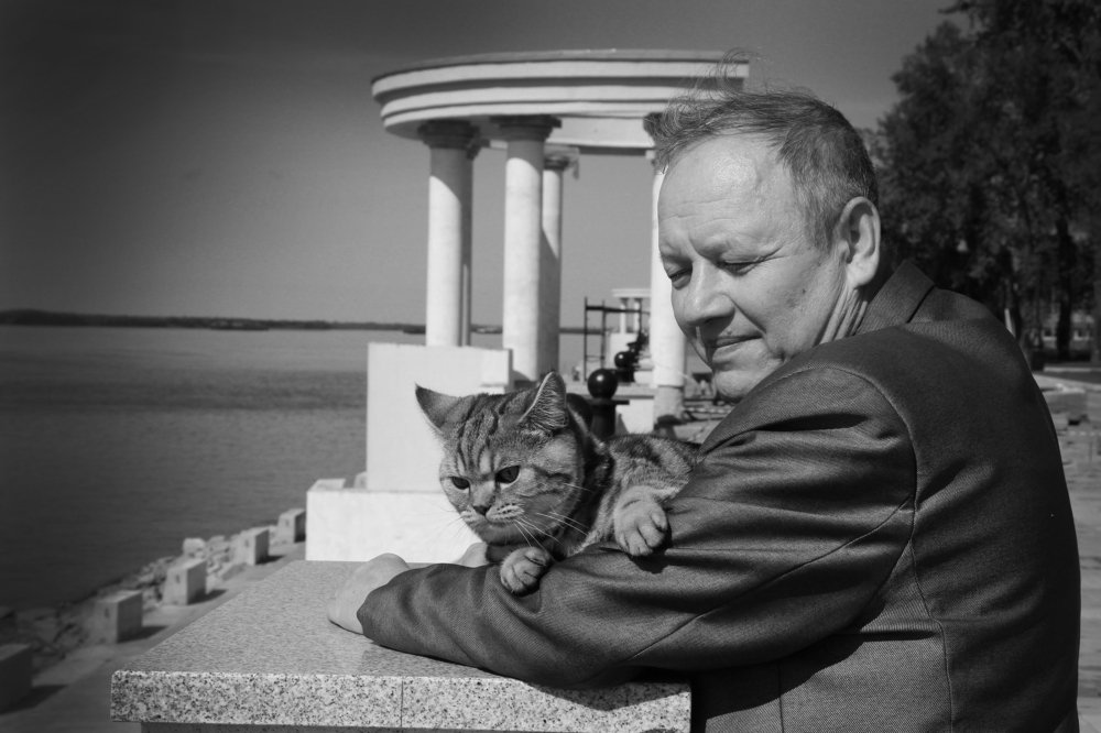 Два товарища