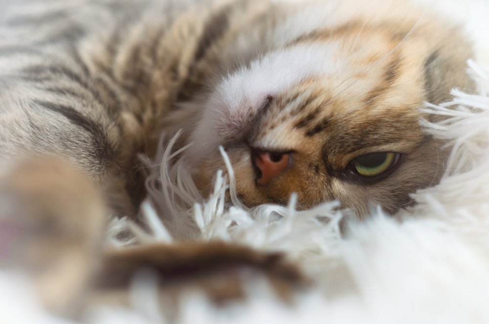 Photograph by Gabriel Wolf