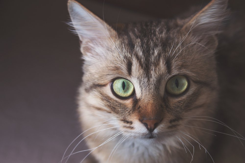 Photograph by Gabriel Wolf