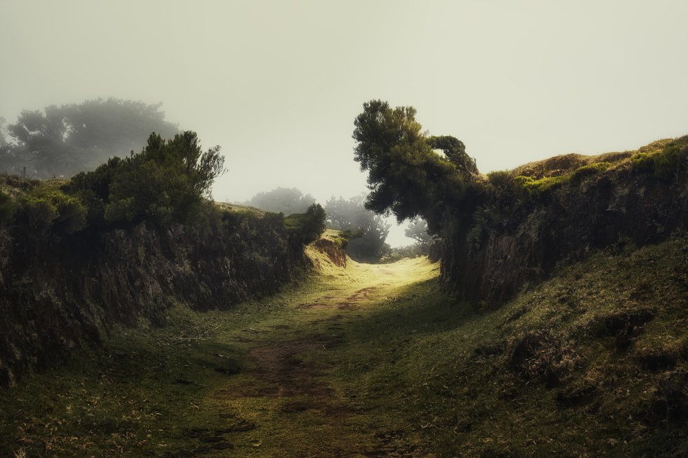 Дорога в мечту