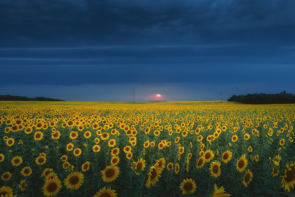 Photograph by Oleg Feofanov