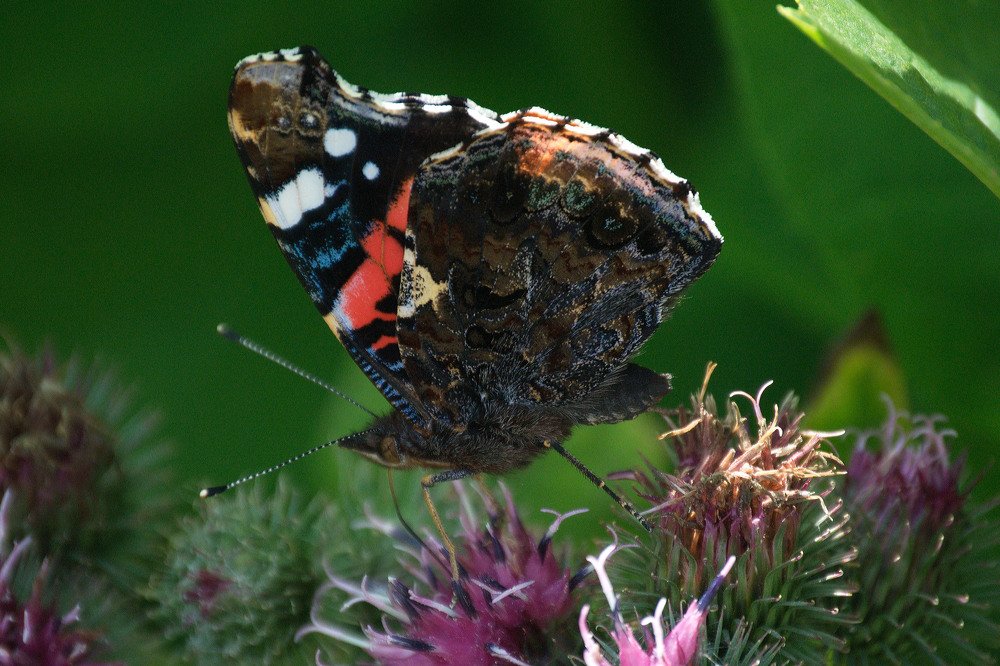 Photograph by Yroslava Veretina