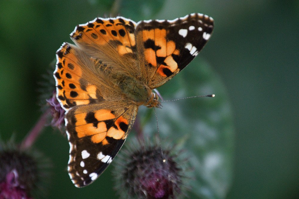 Photograph by Yroslava Veretina